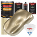 Beige Metallic Basecoat Clearcoat Kit Z382