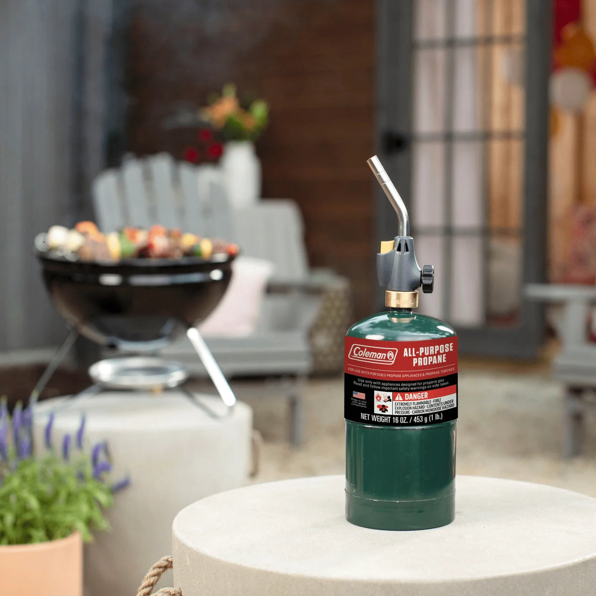 16 ounce 2-Pack Propane Gas Cylinder N2805