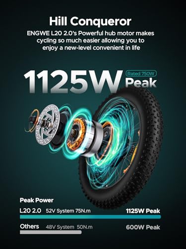 Electric Bike 20'' Fat Tire 52V 13Ah 7 Speed Dual Suspension A10193