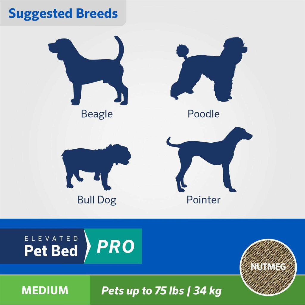 Elevated Pet Bed E690810