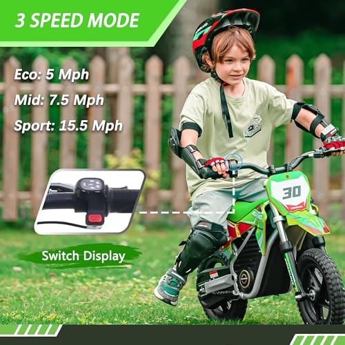 Blue 36V Electric Dirt Bike with 14'' Off-Road Knobby Tires C933464