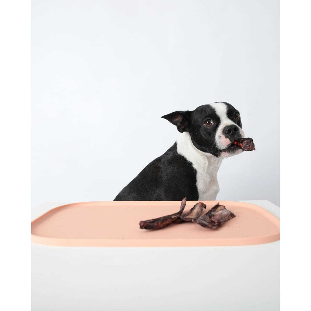Pet Mat J287621