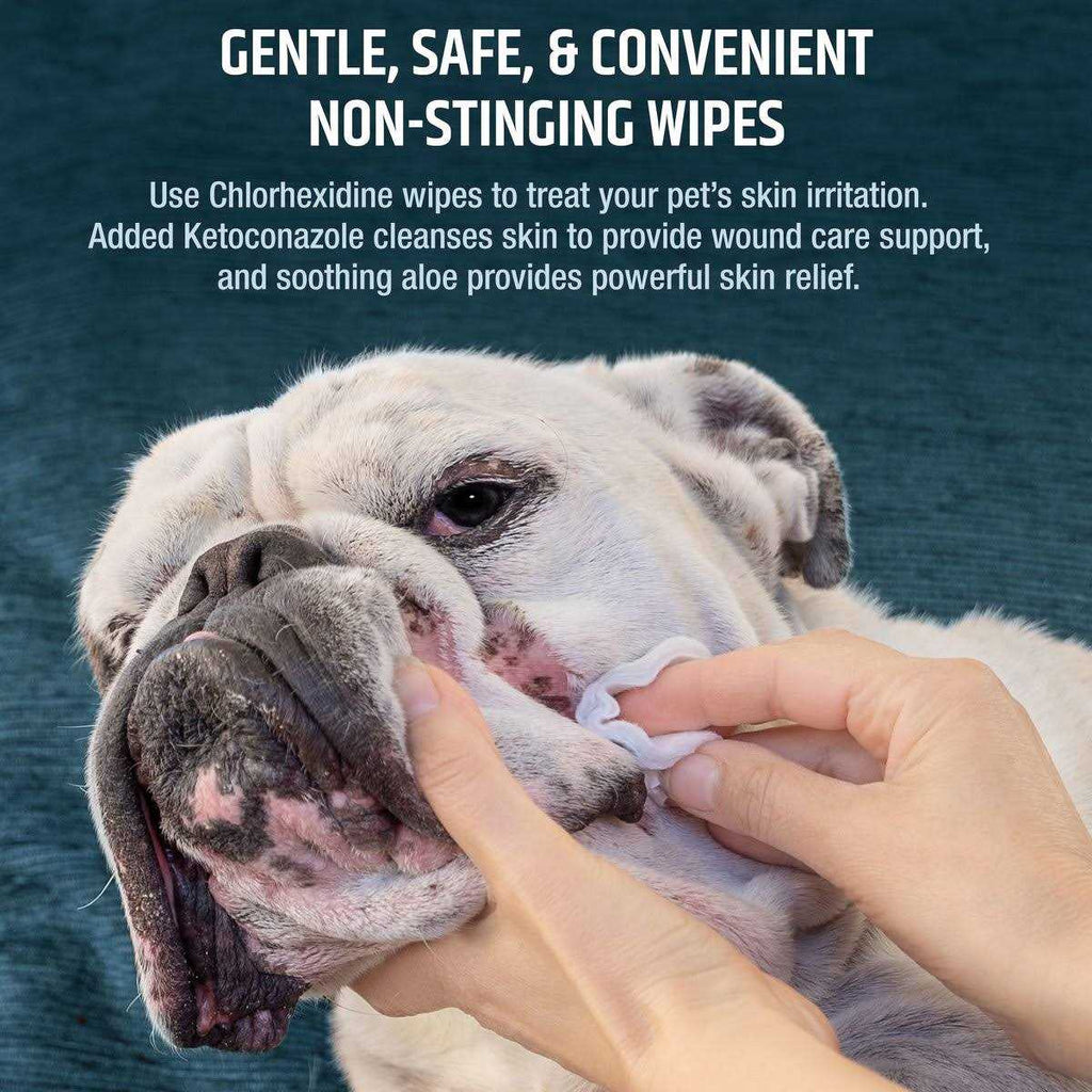 Chlorhexidine Dog & Cat Wipes I7527