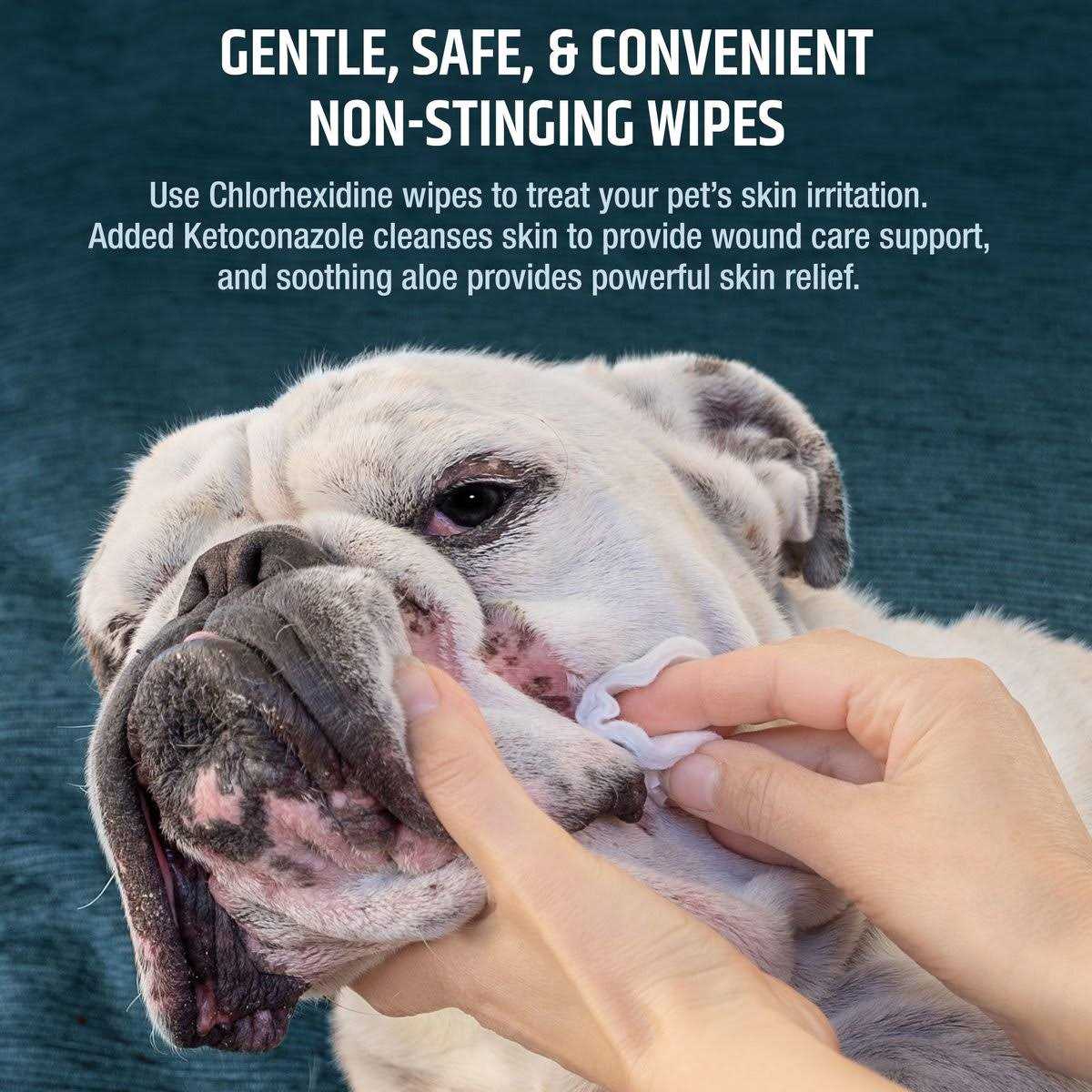 Chlorhexidine Dog & Cat Wipes I7527