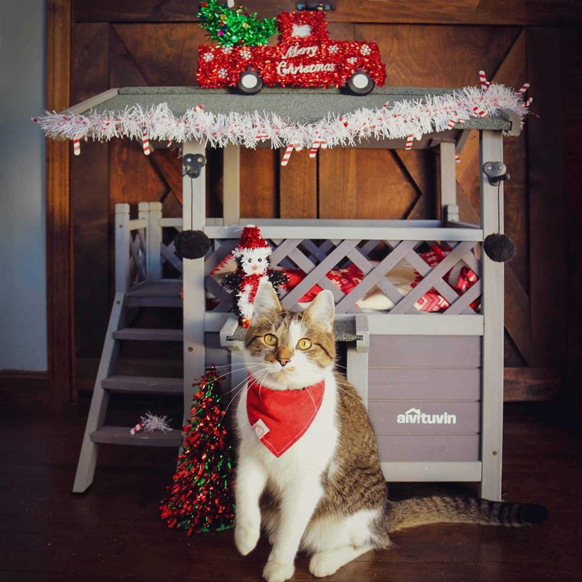 Cat House with Door G315860