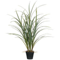 Potted Grass with Roots O4745