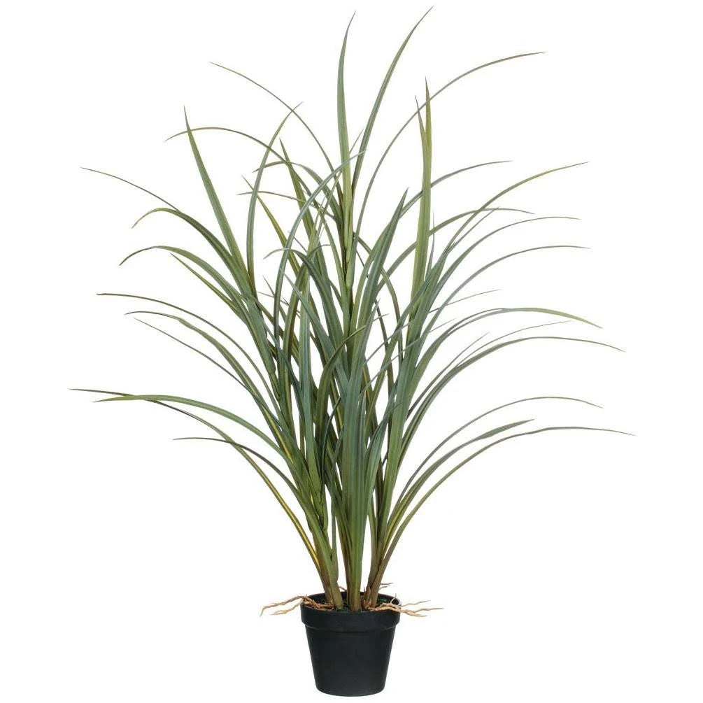 Potted Grass with Roots O4745
