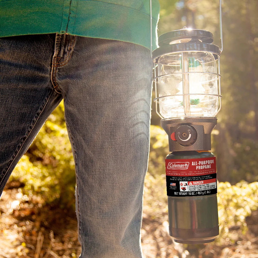16 ounce 2-Pack Propane Gas Cylinder N2805