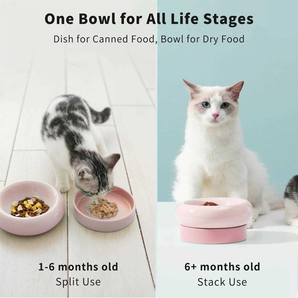 Ceramic Cat Bowl J681