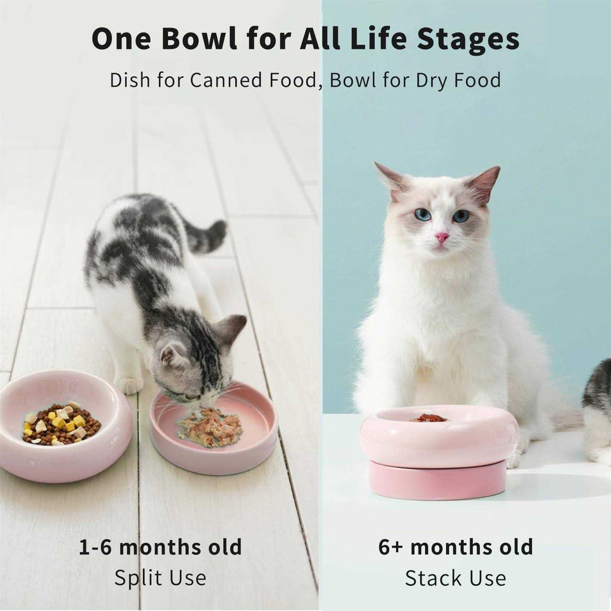 Ceramic Cat Bowl J681