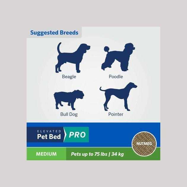 Elevated Pet Bed E690810
