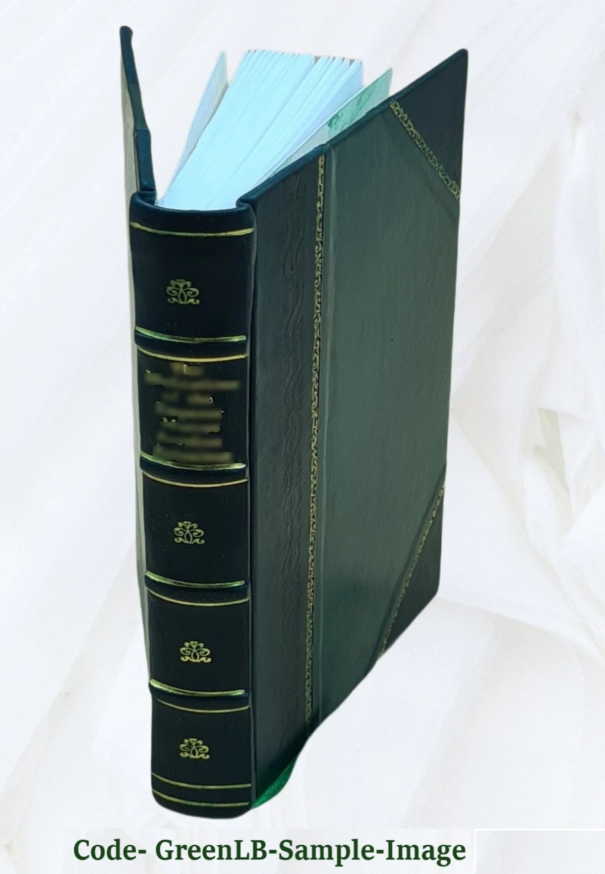 Leather Bound Book O948475