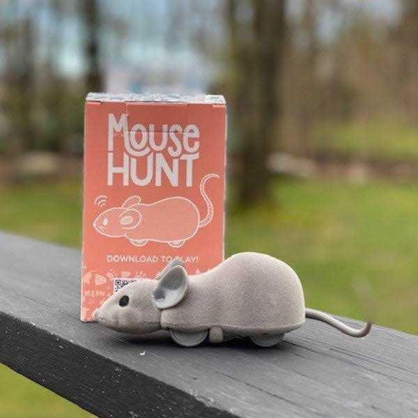 Cat Toy Y1547