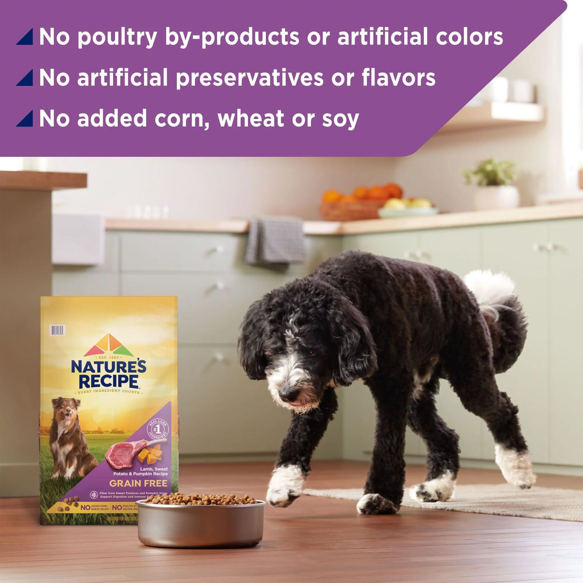 Grain Free Lamb, Sweet Potato & Pumpkin Dry Dog Food, 4 lb. Bag K67510