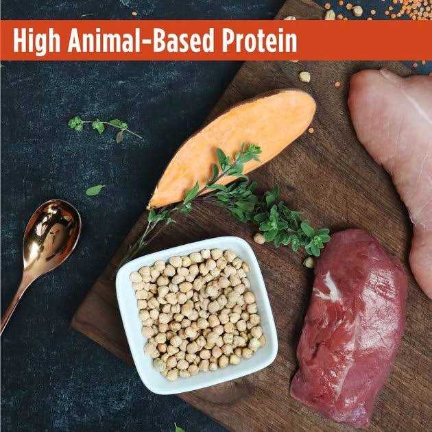 Grain-Free Turkey & Duck Recipe Dry Cat & Kitten Food V23439