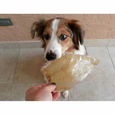 Buffalo Ears for Dogs K870895