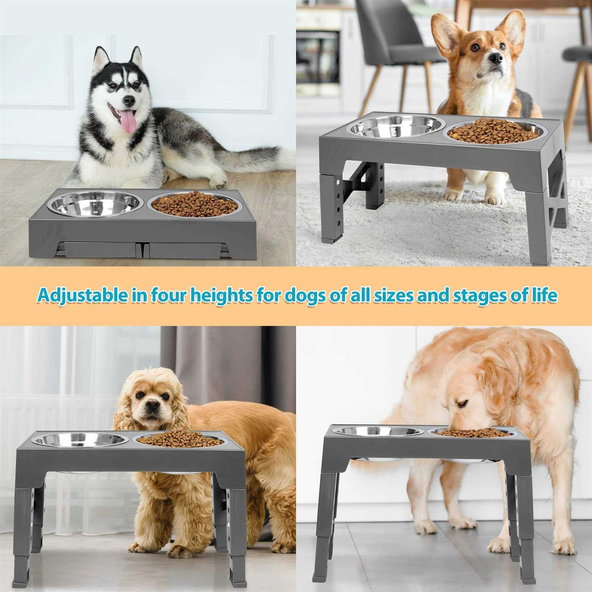 Elevated Dog Bowls with 2 Stainless Steel Dog Food Bowls J445663