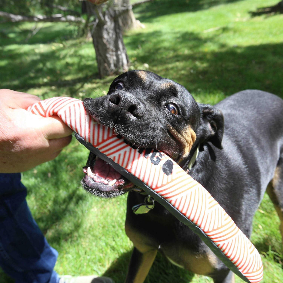 Dog Toy Stick B100955