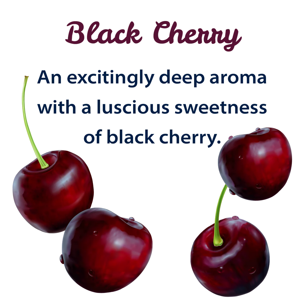 Black Cherry Sparkling Spring Water 12 Pack 42 oz M3602