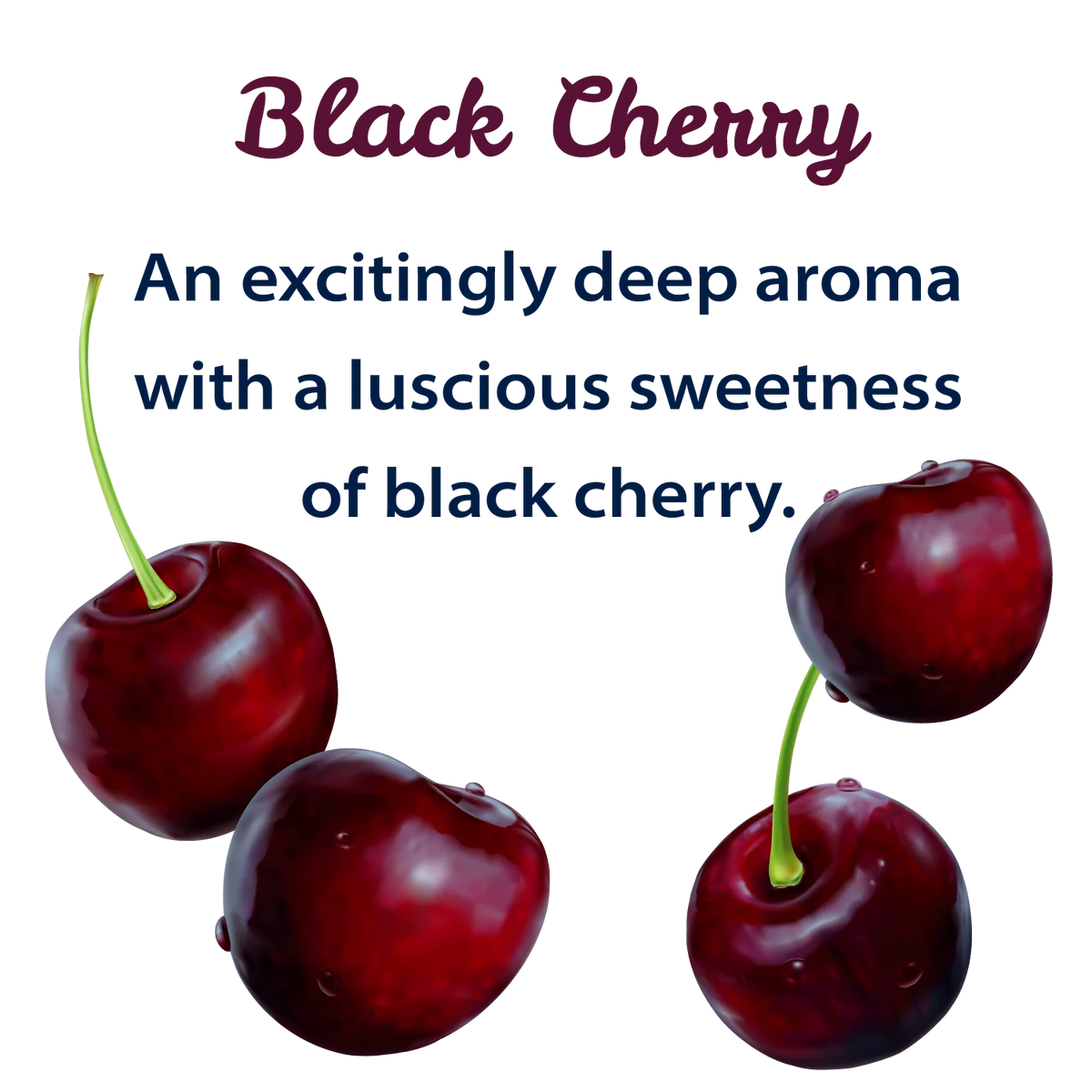 Black Cherry Sparkling Spring Water 12 Pack 42 oz M3602