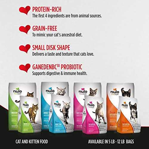 Grain-Free Turkey & Duck Recipe Dry Cat & Kitten Food V23439