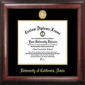 Gold Embossed Diploma Frame Y3673