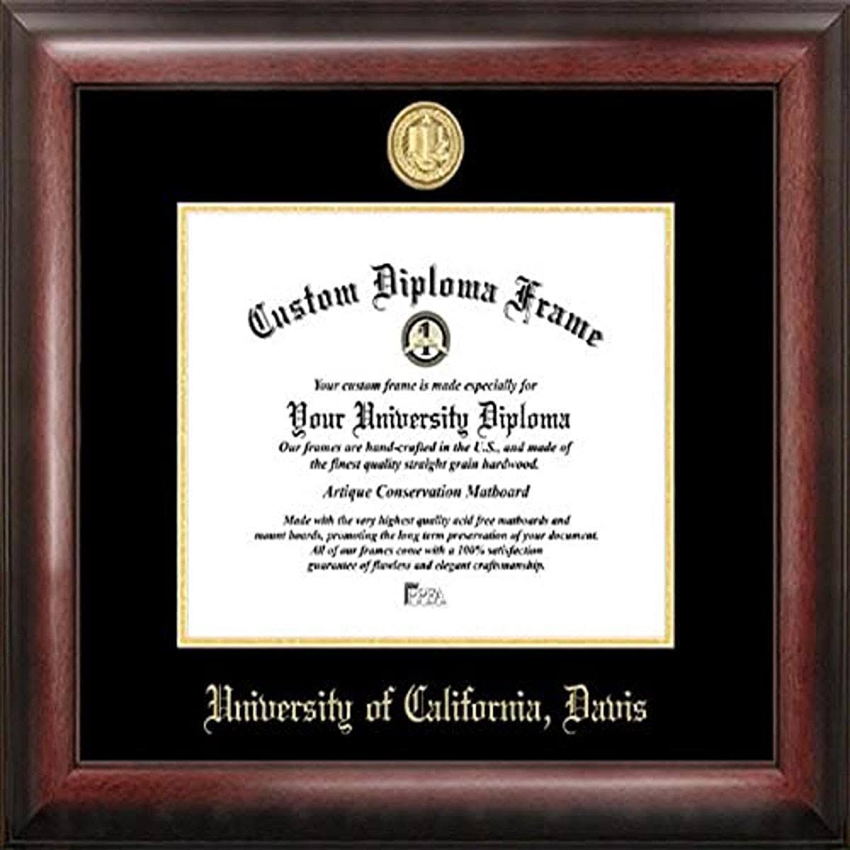 Gold Embossed Diploma Frame Y3673
