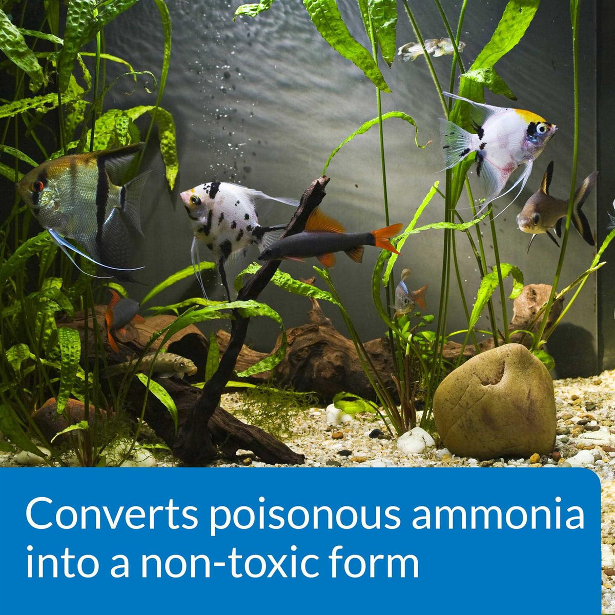Ammo Lock Ammonia S46040