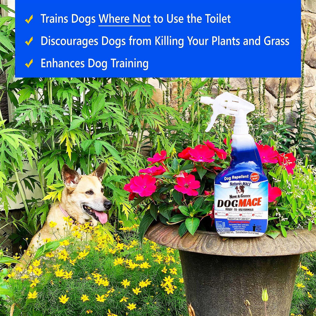 Dog Mace 40oz Concentrate F96046