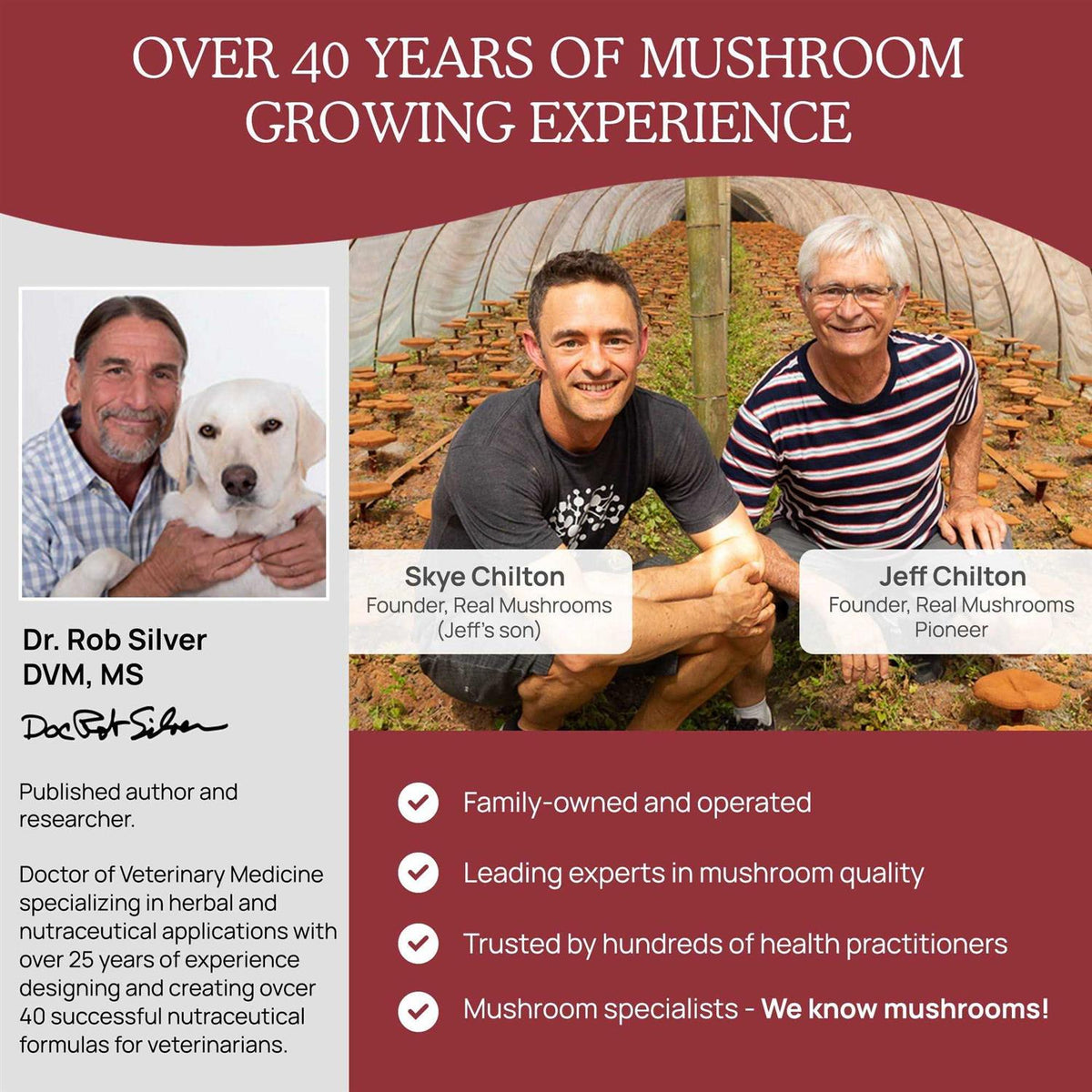 Mushroom Relax Pet Chew V133