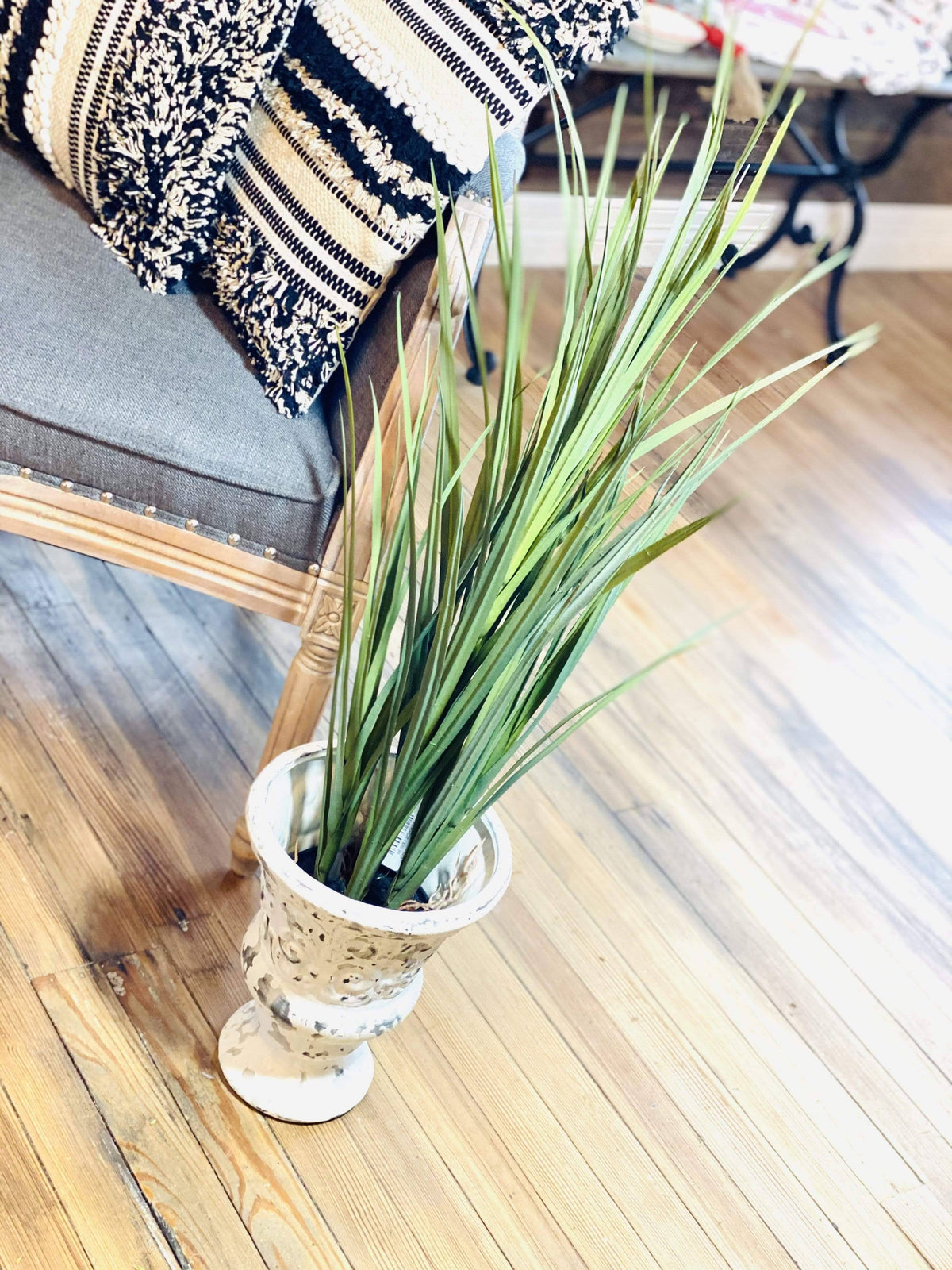 Potted Grass with Roots O4745