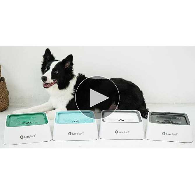 Dog Water Bowl Slow Feeder No Spill R395229