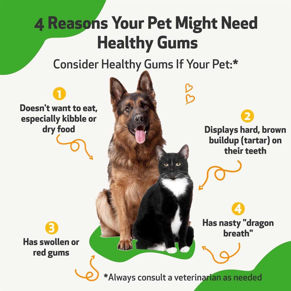 Healthy Gums for Feline Periodontal Health S732
