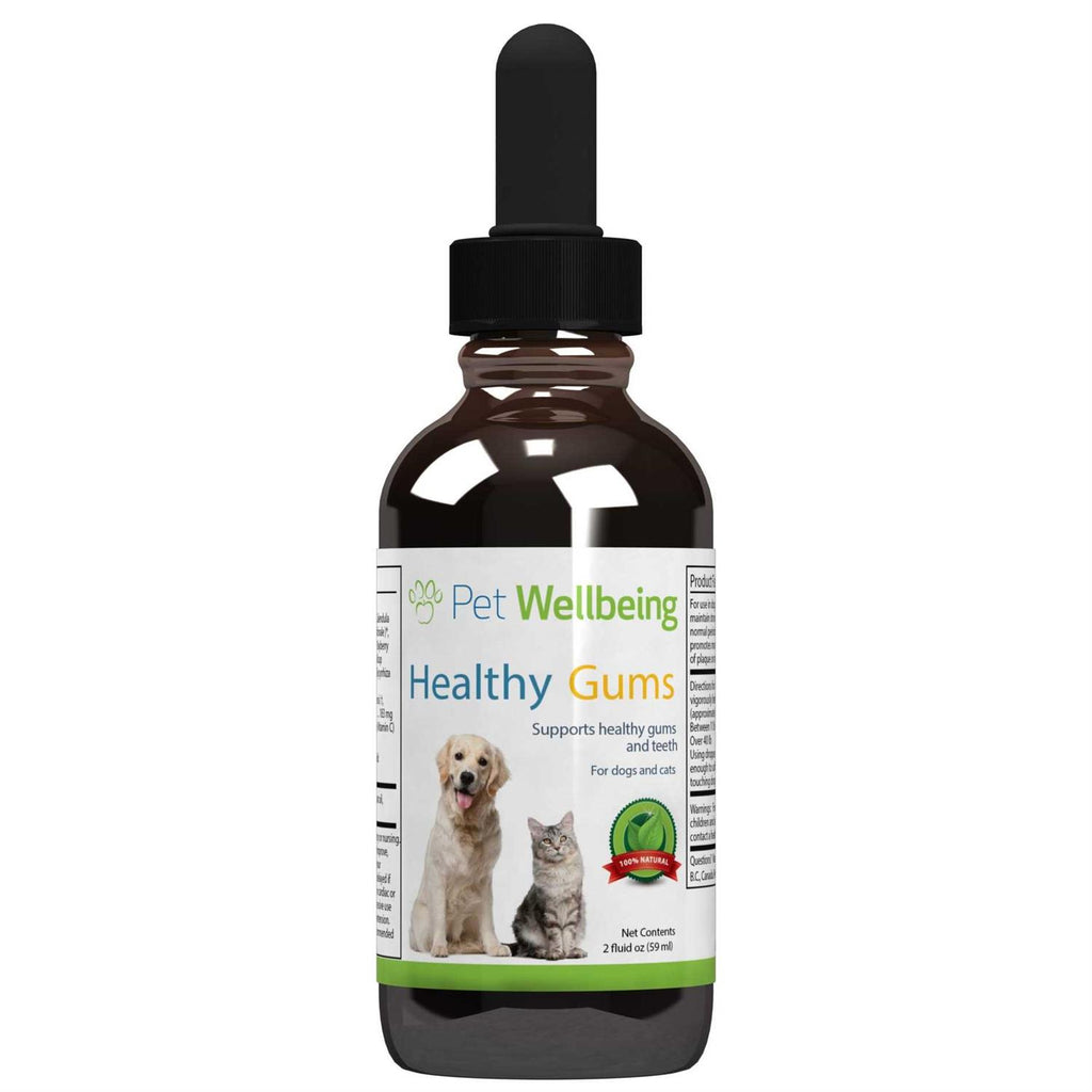Healthy Gums for Feline Periodontal Health S732