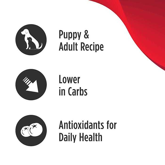 Grain Free Limited Ingredient Turkey Dog Food E8139