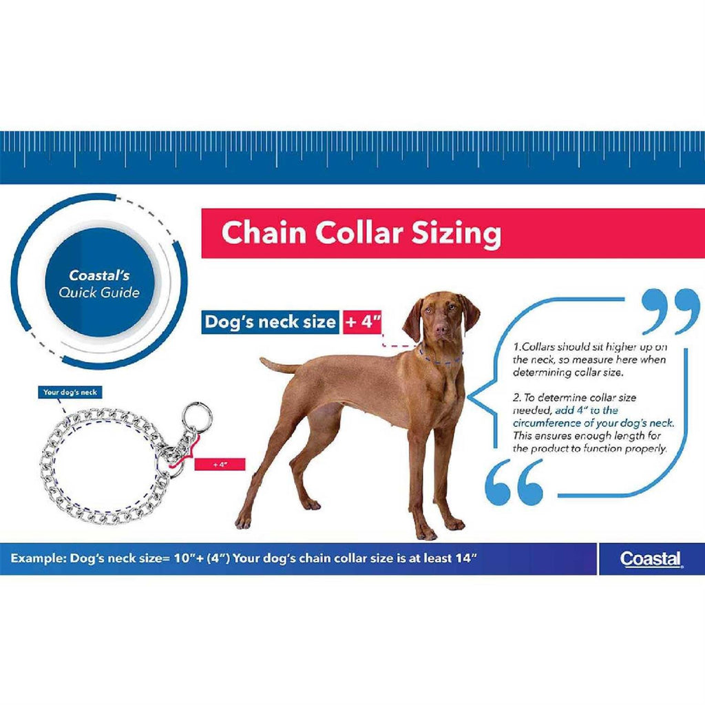 Snap On Dog Collar C36337