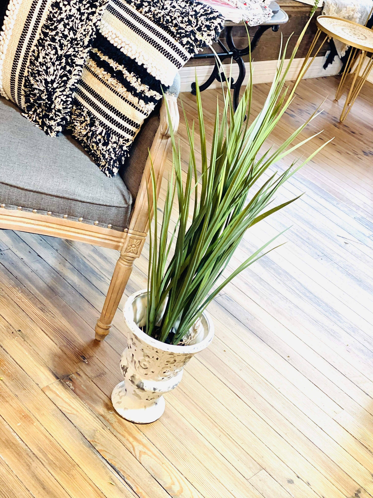 Potted Grass with Roots O4745