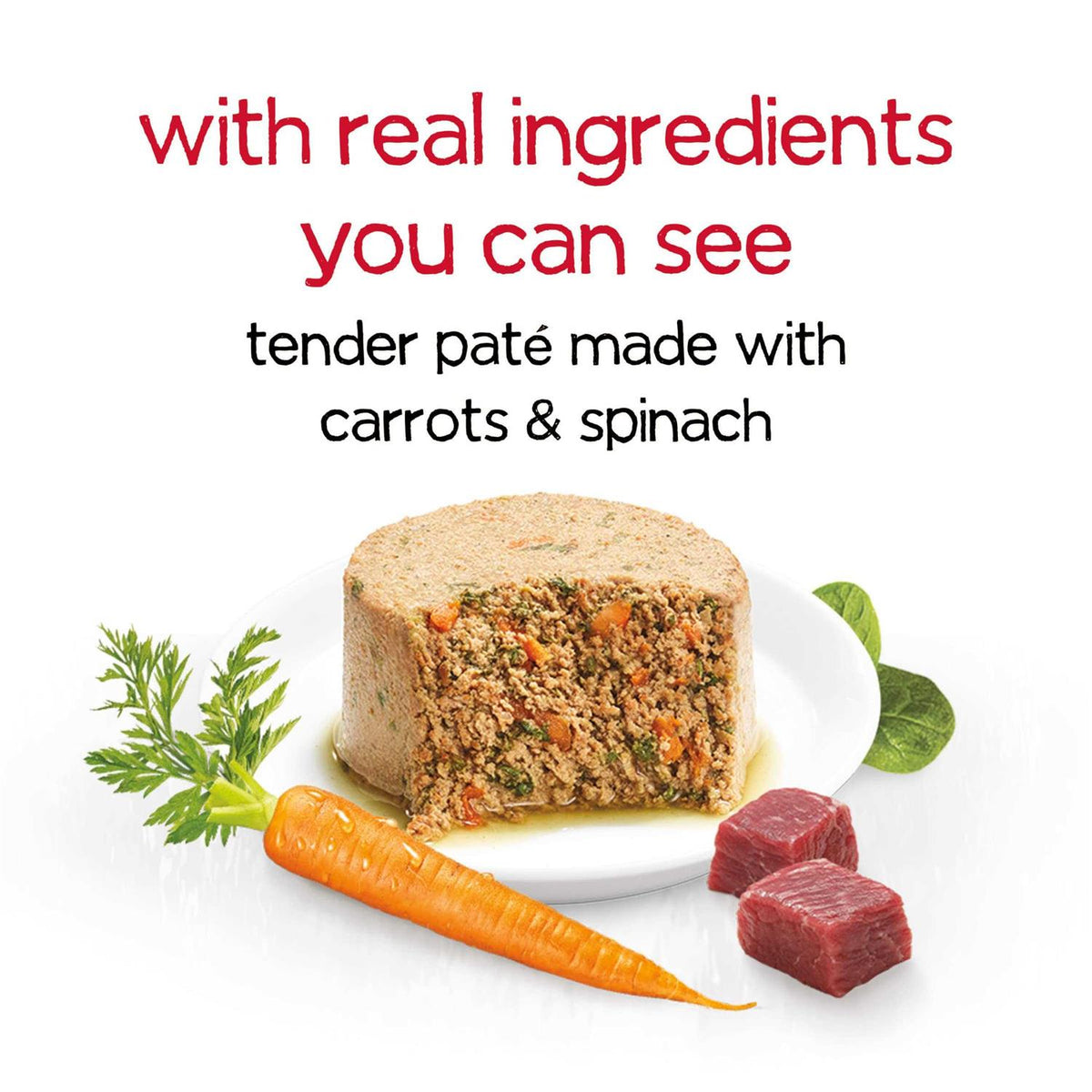 Dog Food F803