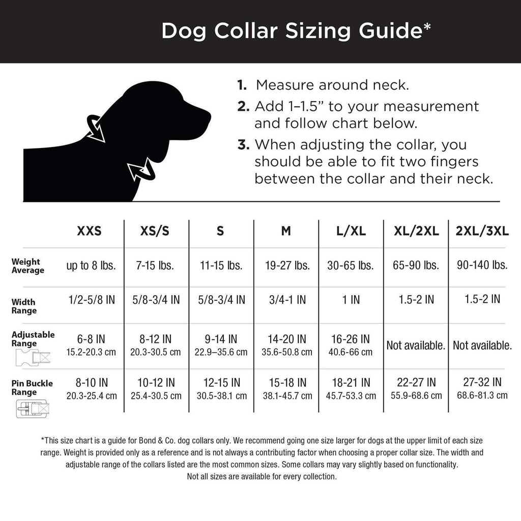 Dog Collar H27985