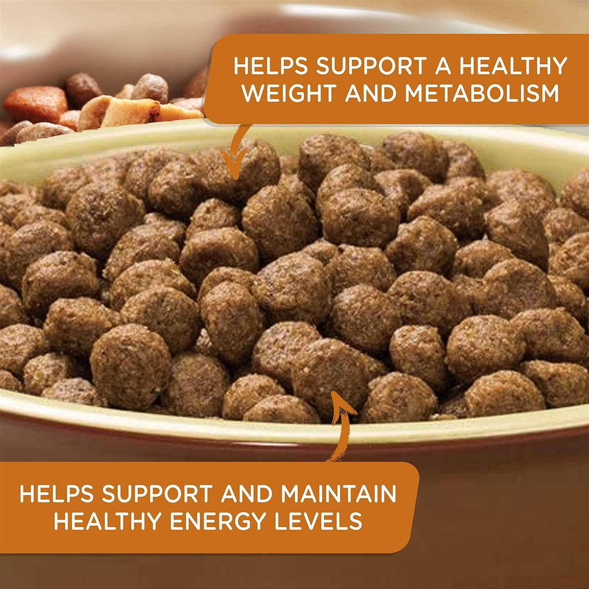 Real Turkey Brown Rice & Venison Recipe Dry Dog Food R711545