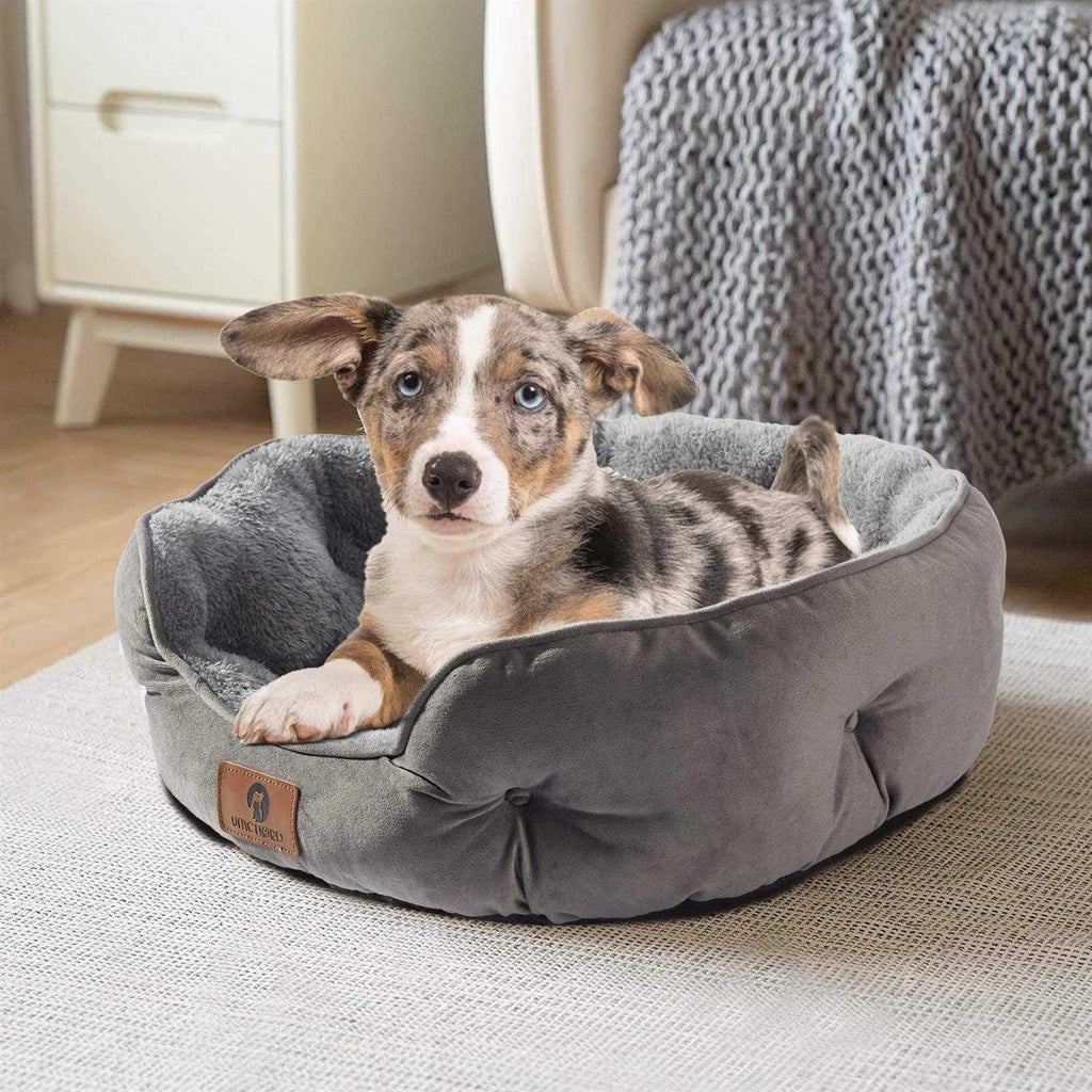 Small Dog Bed Cat Bed Pet Bed Y66714