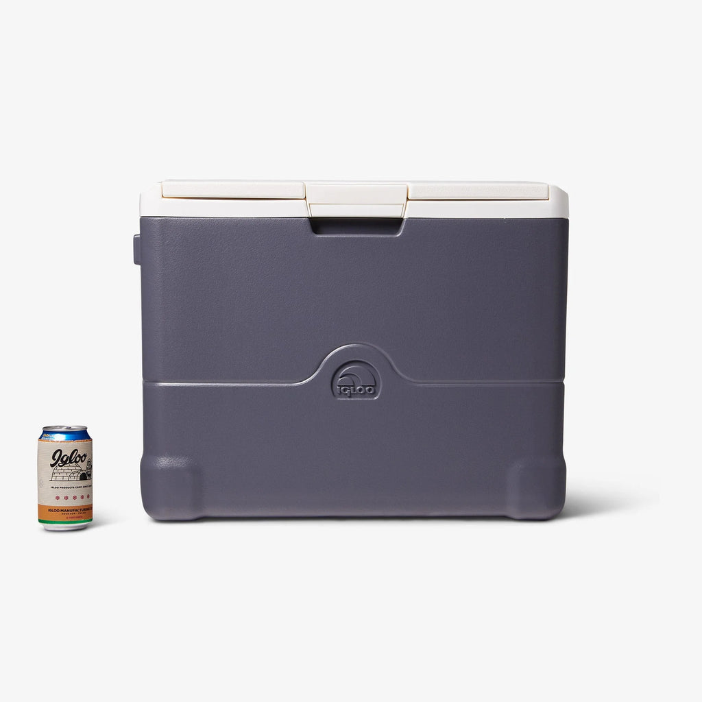 Portable Electric 40 Qt Cooler N44312