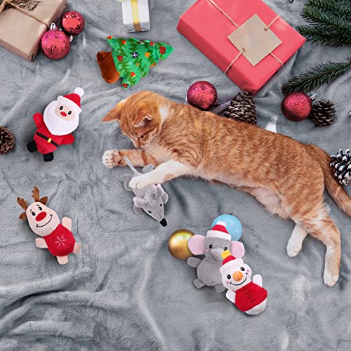 6 Pcs Catnip Plush Cat Toys Z463