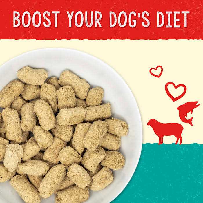 Lamb & Salmon Dog Food X1069