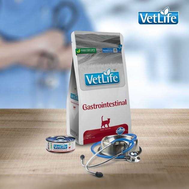 Farmina Vet Life feline Gastrointestinal E608840