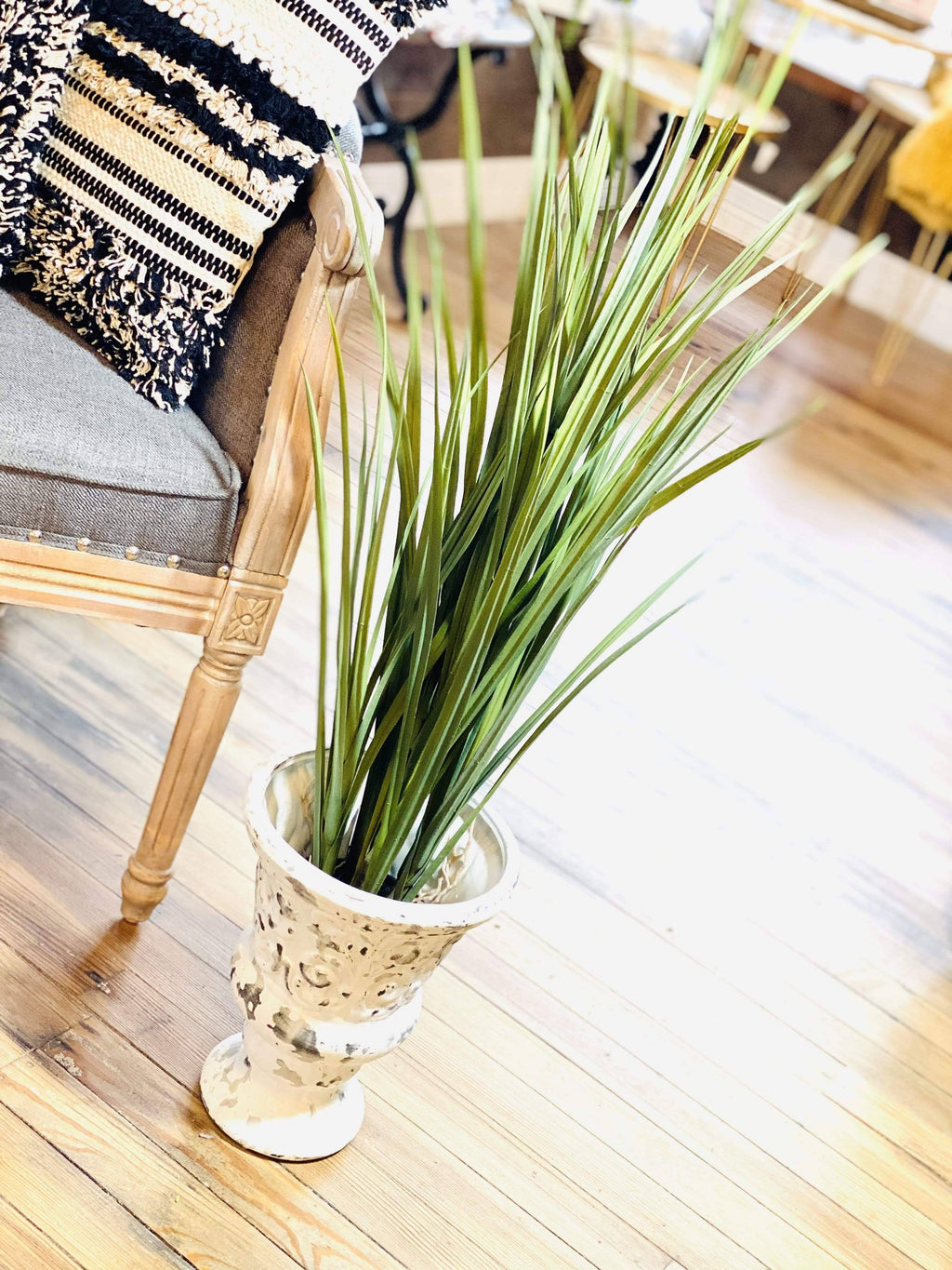 Potted Grass with Roots O4745