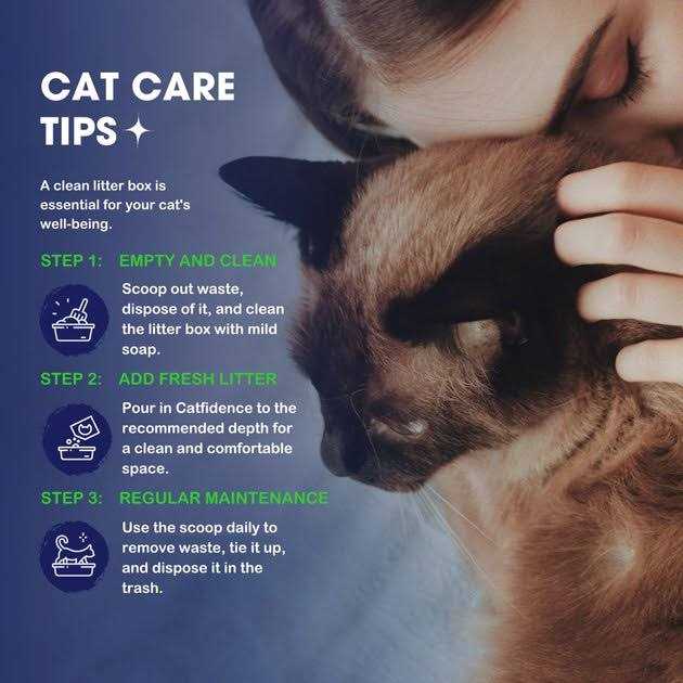 Bamboo Cat Litter F79567
