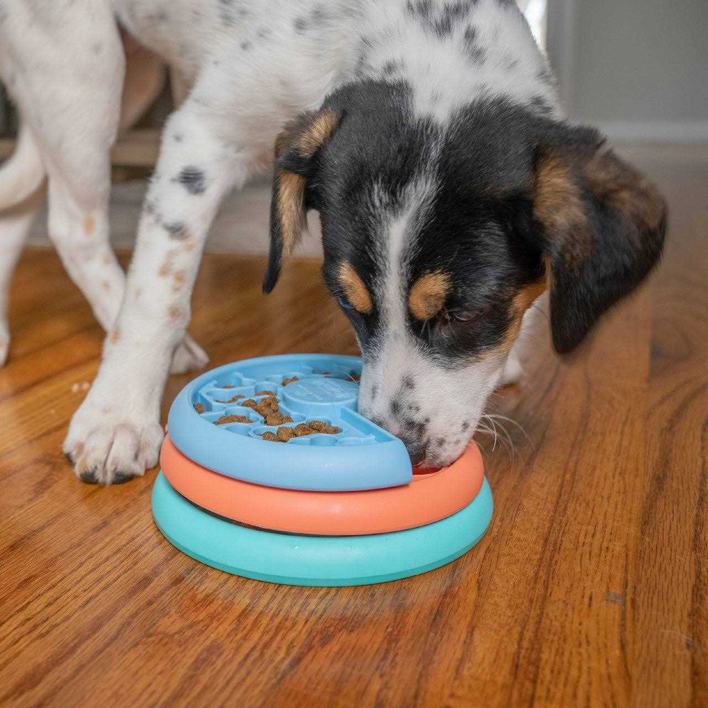Puppy Puzzle Game Q226