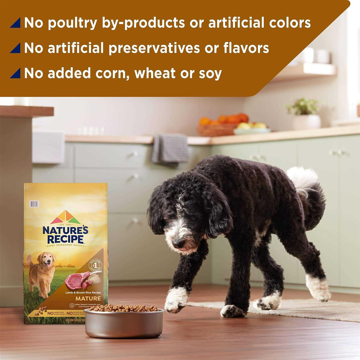 Mature Dry Dog Food A495796