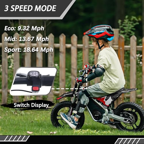 Blue 36V Electric Dirt Bike with 14'' Off-Road Knobby Tires C933464